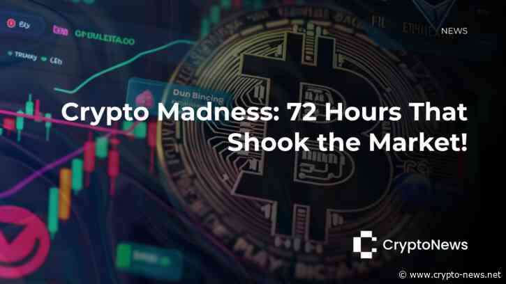 Riding the Wave of Crypto: A Snapshot of the Last 72 Hours