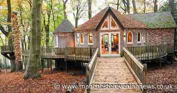 Inside Narnia-themed treehouse that features its own 'magic' wardrobe