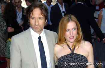 Why David Duchovny & Gillian Anderson Stopped Talking