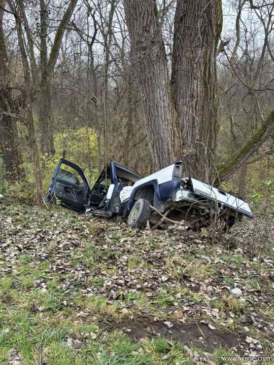 Driver dies after pickup truck crashes into tree in Kosciusko County