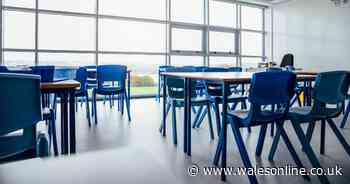 Improved attendance rates reported at Neath Port Talbot schools though work still needs to be done