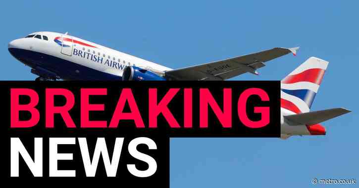 British Airways flights grounded after ‘major IT outage’