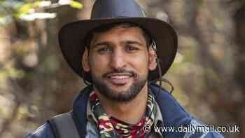 Amir Khan reveals exactly how much ITV paid him for I'm A Celebrity stint in 2017 and discusses that iconic strawberry moment