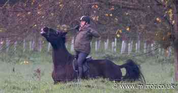 Prince Andrew's horse nearly throws him off in morning ride with granddaughter