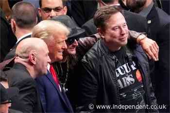 Elon Musk’s bromance with Donald Trump isn’t going down that well in MAGAworld anymore