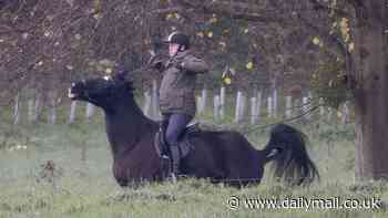 Prince Andrew is nearly thrown from his horse after it got spooked during early morning ride in Windsor