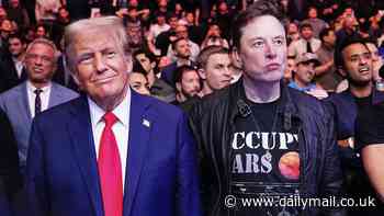 Elon Musk blasts 'mole' in dinner blow-up over Cabinet at Mar-a-Lago as Trump's golden boy is targeted