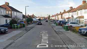 Pensioner, 81, charged with murder of elderly woman after police swarmed home in London