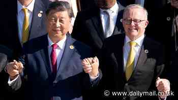 Cringe moment Anthony Albanese HOLDS HANDS with Xi Jinping at centre of G20 leaders' 'family photo' - but there are some very notable absentees