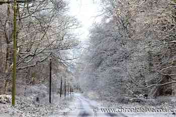 Northumberland County Council chiefs outline measures to cope with winter weather