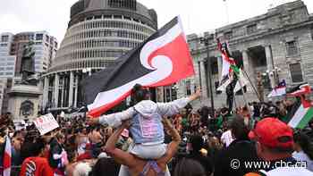 Thousands rally at N.Z. capital to oppose controversial bill, support Māori rights