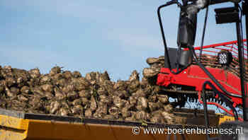 Er moeten nog flink wat bieten worden gerooid