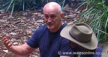 ITV I'm A Celeb's Barry McGuigan says 'never again' as he opens up on daughter's death