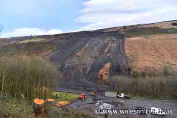 Former coal tip landslip site could be used for huge BMX track