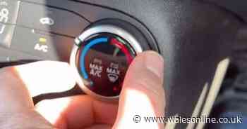 'Magic' button in every car can defrost your windscreen in rapid time