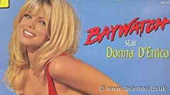 Baywatch star Donna D'Errico, 56, shares old pinup covers from her 'blonde days'... see her now