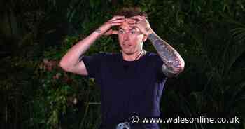 I'm A Celebrity's Danny Jones' secret signal for son on ITV show