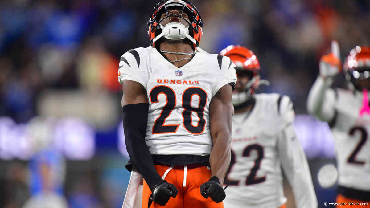 Bengals Week 11 Snap Counts vs Chargers: Defensive chaos was nearly tamed by rookie's emergence