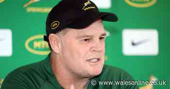 Springboks coach calls for Warren Gatland 'respect'