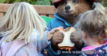 Paddington bear Cardiff statue moved after complaints about it being 'locked away'