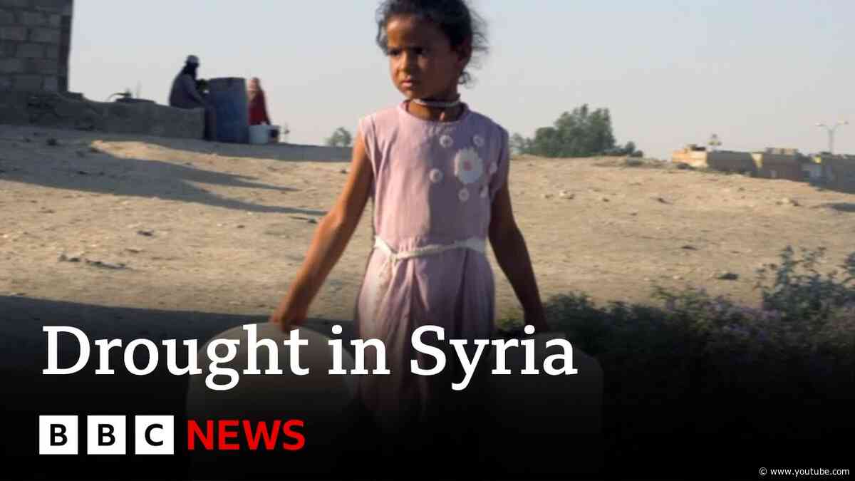 Turkish strikes in Syria cut water to one million people | BBC News