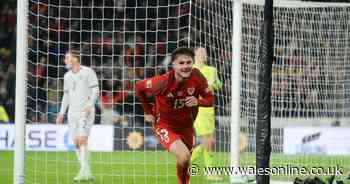 'You constantly impress me' - Jubilant Wales boss Craig Bellamy in awe of Swansea City star