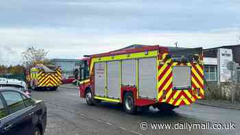 Eight people rushed to hospital after 'inhaling fumes' at Norfolk chemical factory