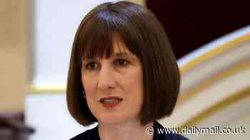 Rachel Reeves claimed she was an 'economist' on officials documents - despite not working as one at the time