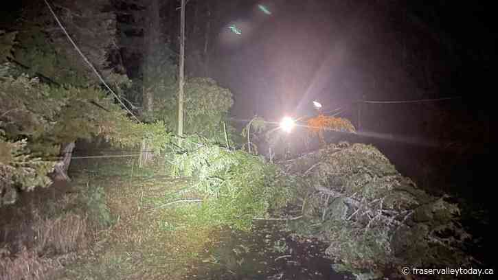 Update at 9:55 p.m.: BC Hydro says over 180,000 customers lose power due to fierce windstorm