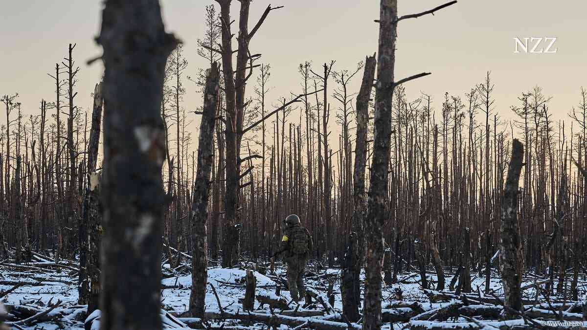 Die Russen rücken vor, indem sie die Wäldchen mit den Leichen ihrer Soldaten füllen – das ist brutal ineffizient, aber es funktioniert