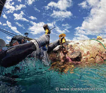 Major coral relocation effort completed on Hawaii island