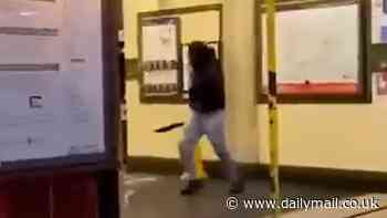 Moment machete attacker rains down knife blows on victim at Edgware Road underground station