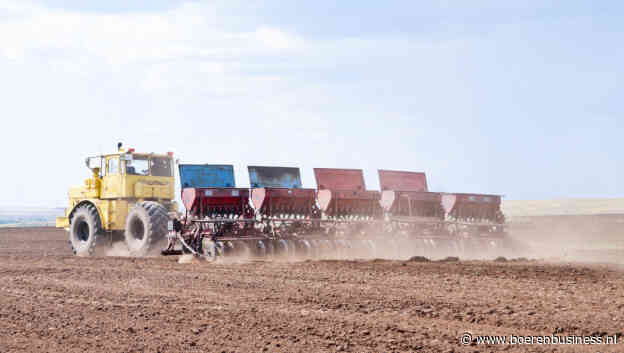 Russische boeren zien geen brood in wintertarwe