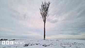 Snow brings picturesque scenes across region