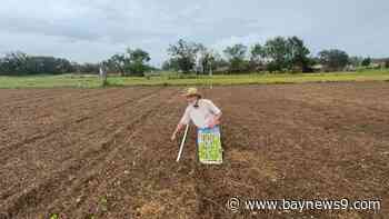 Sarasota farm workers planting crops, trying to recover after hurricanes