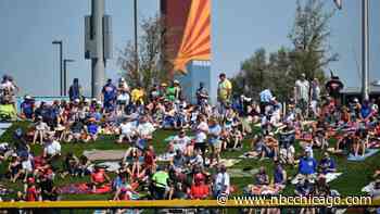 MLB to test robot umpires at 13 different parks during spring training