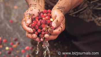 The Mass. cranberry industry? It's kind of a bog deal.