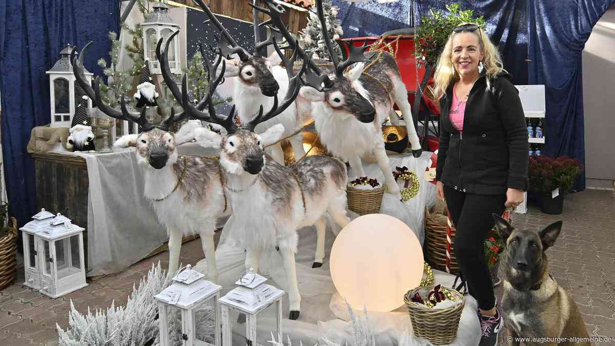 Gabi Geier liebt nicht nur Weihnachten, sondern hat auch ein Herz für Katzen