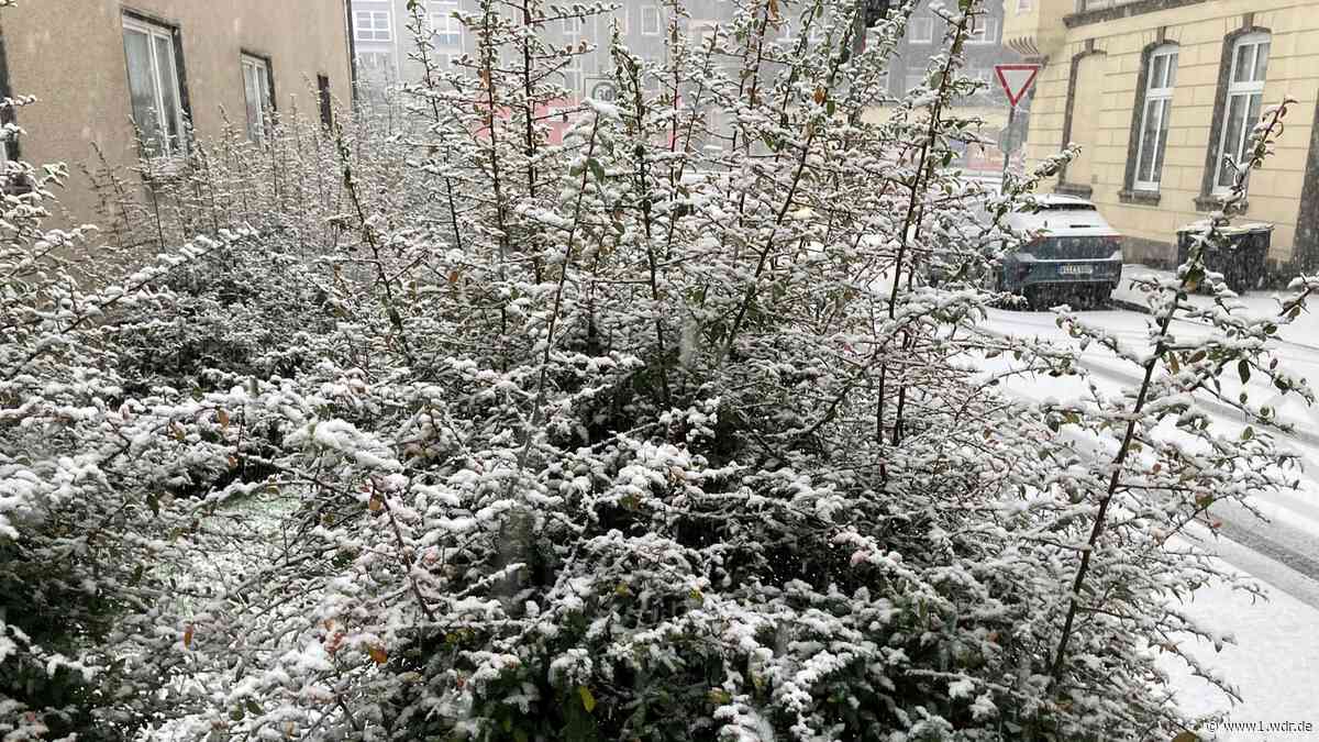 Schnee im Westen: Erste Teile in NRW sind eingezuckert