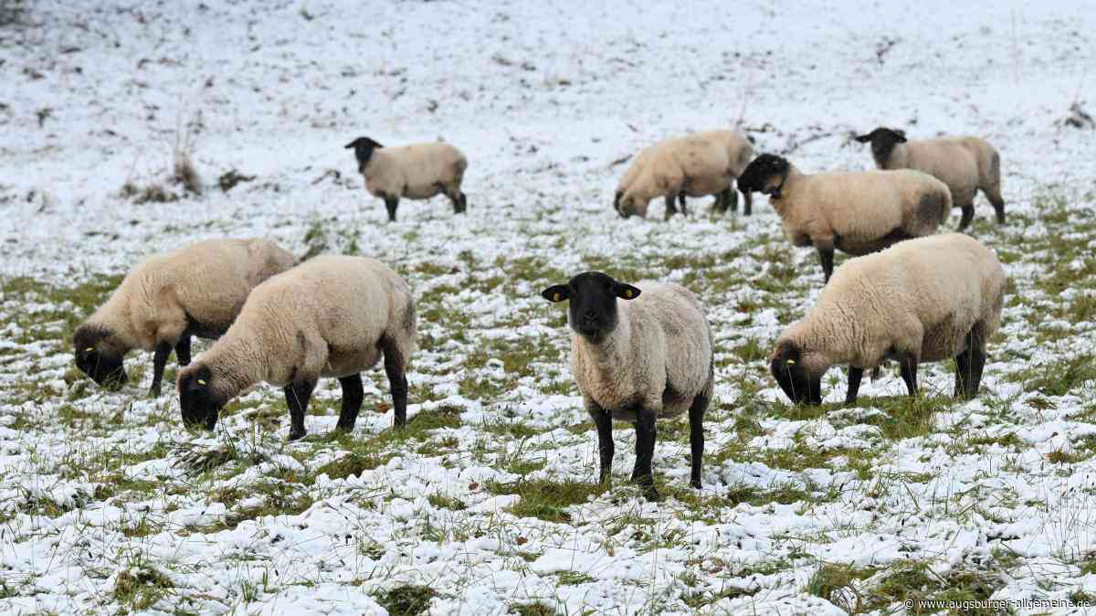 Der Winter ist da – wo in Bayern am Donnerstag mit Schnee zu rechnen ist