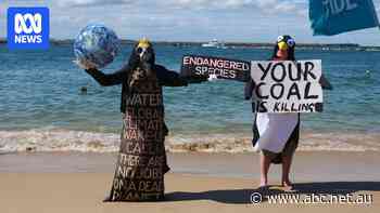 Protesters remain on water despite bulk carrier entering world's largest coal port