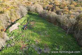 Criminals dump 30,000 tonnes of illegal waste in Kent countryside