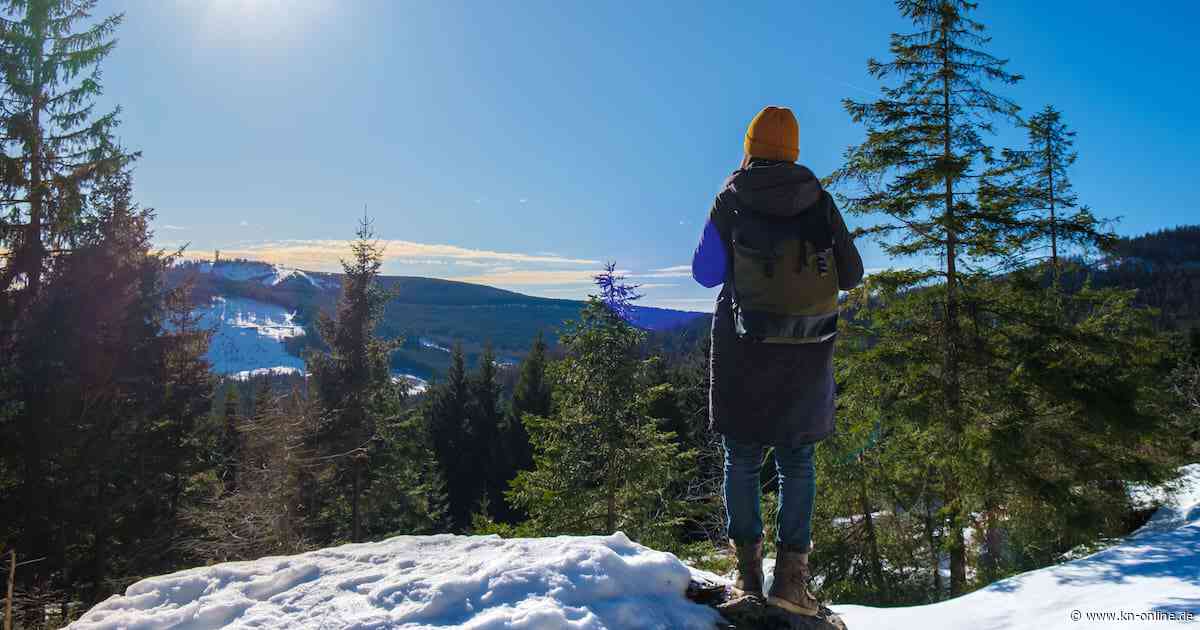 Schnee im Harz: Die schönsten Routen zum Wandern im Winter