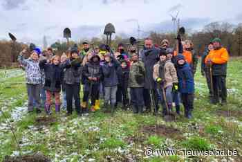 Kinderen helpen compensatiebos met 1.850 bomen planten