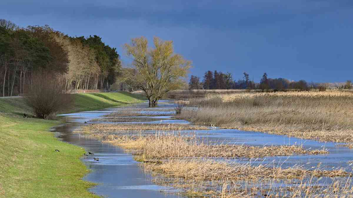 Wie kann Hochwasserschutz in Deutschland gelingen?