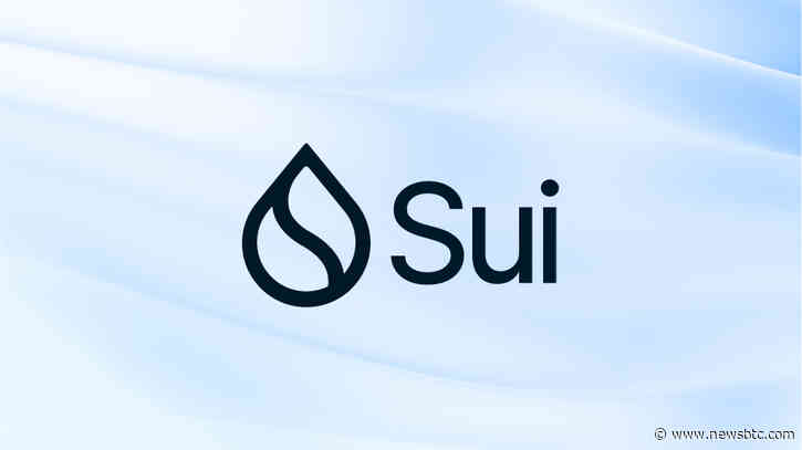 SUI Price Crashes 10% As Blockchain Goes Dark, Halting Block Production