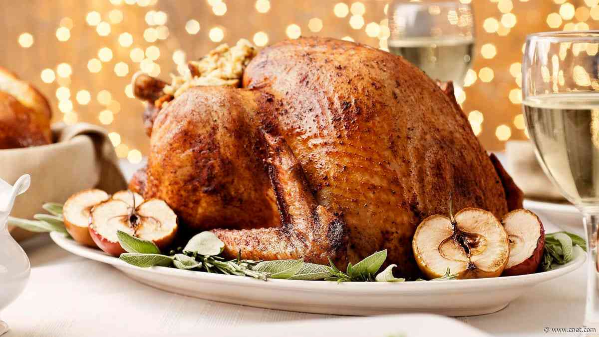 Essential Tips to Nail Your Thanksgiving Turkey This Year