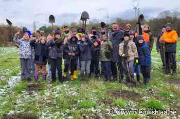 Kinderen helpen compensatiebos met 1.850 geplante bomen