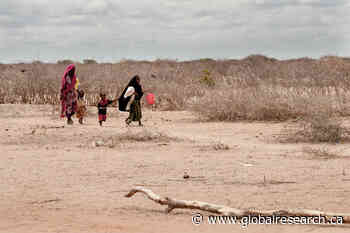 Bone Dry: Agribusiness’ African Water Grab