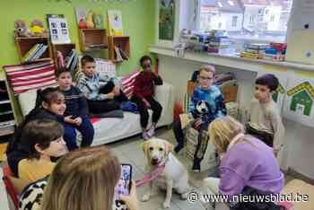 Waarom deze basisschool een hond inschakelt tijdens de voorleesweek: “Het is een extra troef”